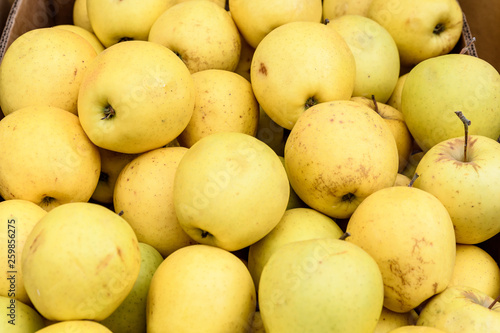 Group of fresh yellow apples available for sale at a street food market