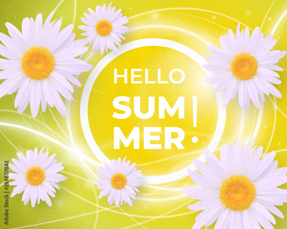 Hello Summer background with daisies Hello Summer background with daisies