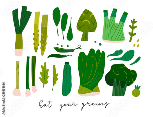 Eat your greens. Various tasty healthy green vegetables and leaves. Hand drawn vector set. Colored illustration in trendy style. Flat design. All elements are isolated