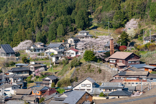 [長崎県]波佐見町中尾郷の風景