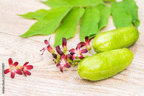 Averrhoa bilimbi fruit photo