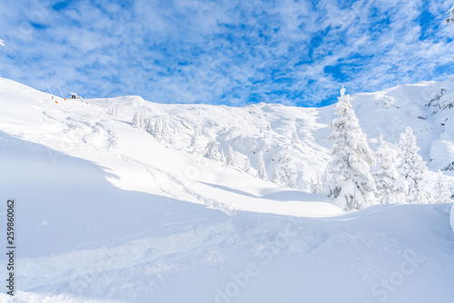 Winter landscape with snow covered trees and Alps in Seefeld in the Austrian state of Tyrol. Winter in Austria © beataaldridge