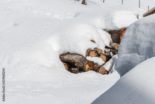 Mit Schnee bedeckte Holzstämme im Winter, Deutschland © stgrafix