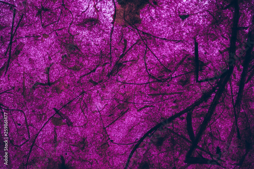 Purple vintage texture and background for design  close up view of abstract purple texture made with recycle paper.
