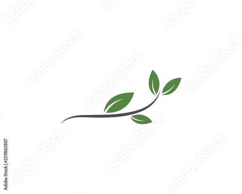 green leaf ecology nature element © devankastudio