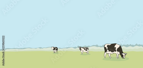 vector illustration three cows graze in the meadow. rural landscape