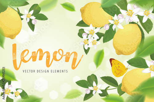 Lemon with flower and butterfly on green background template. Vector set of fruit element for advertising, packaging design of lemon products.