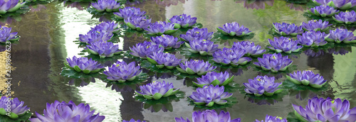 Фотография lotus,purple artificial flowers are floating on the water