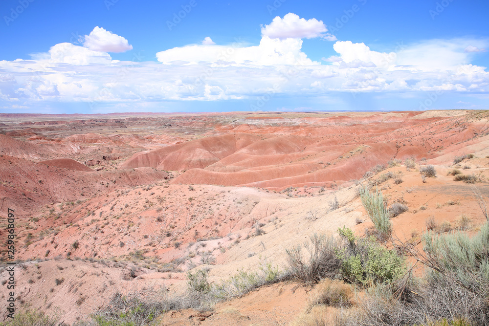Petrified Forest National Park in Arizona, Painted Desert, USA