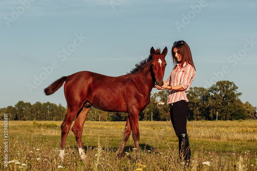 Woman is feeding a foal from her hands