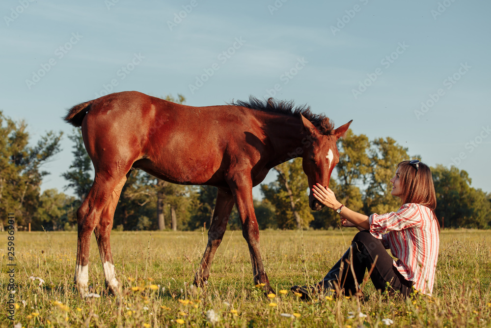 Obraz premium Woman is feeding a foal from her hands