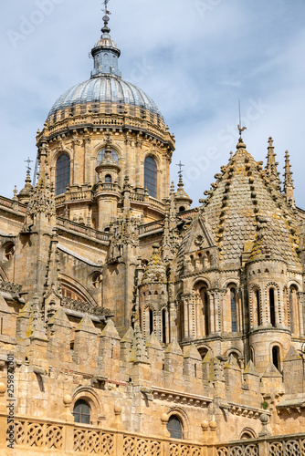 Salamanca Tower of the Rooster