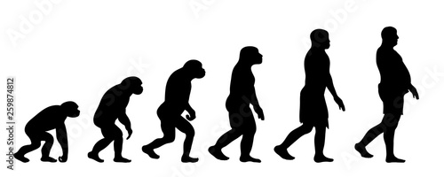 Theory of evolution of man. Vector silhouette of homo sapiens. Symbol from monkey to fat man.