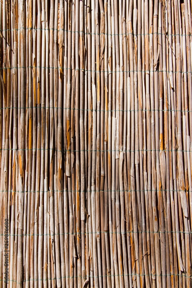 old bulrush fence, vertical brown abstract surface texture background old bulrush fence, vertical brown abstract surface texture background