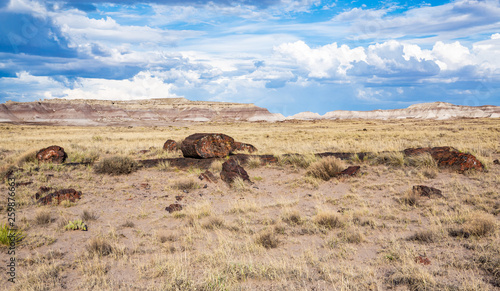 Petrified Forest National Park in Arizona, USA