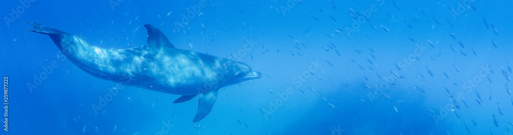 Naklejka premium MAYOTTE 16