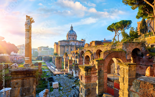 Canvastavla Roman Forum in Rome, Italy