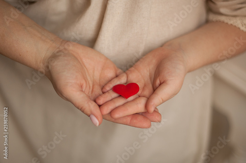adult and child hands holding red heart, health care, donate and family insurance concept,world heart day, world health day, CSR concept © Марина Сухачёва