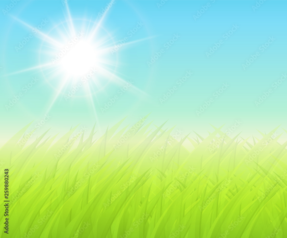 Green sunny background with blurry grass, vector spring background