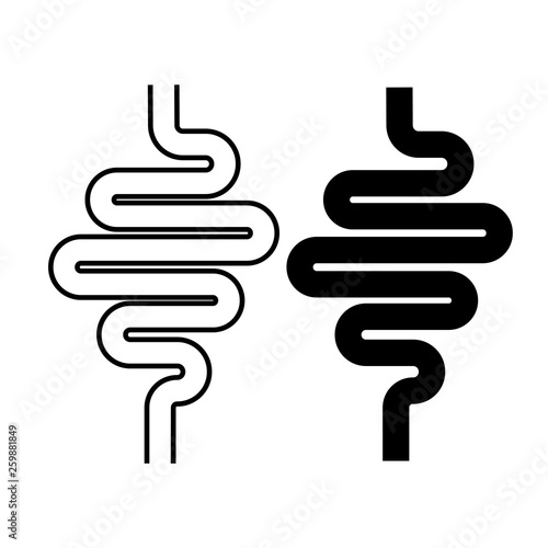 Icon digestive tractvector on white background