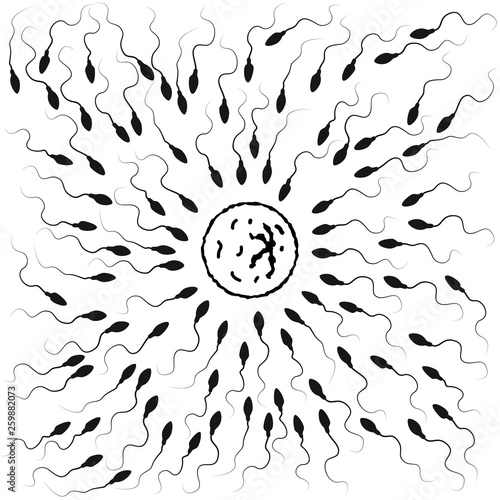 Lots of black detailed spermatozoids runs towards the egg, live competition concept on white