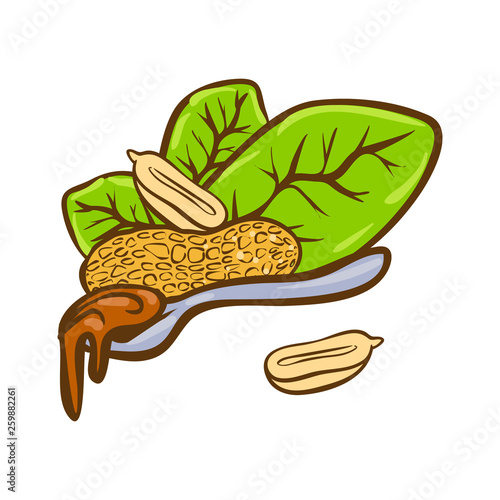 Peanut butter doodle vector icon. Cartoon illustration of peanut icon for web design. Nuts hand drawn emblems and labels isoleted on white backgraund