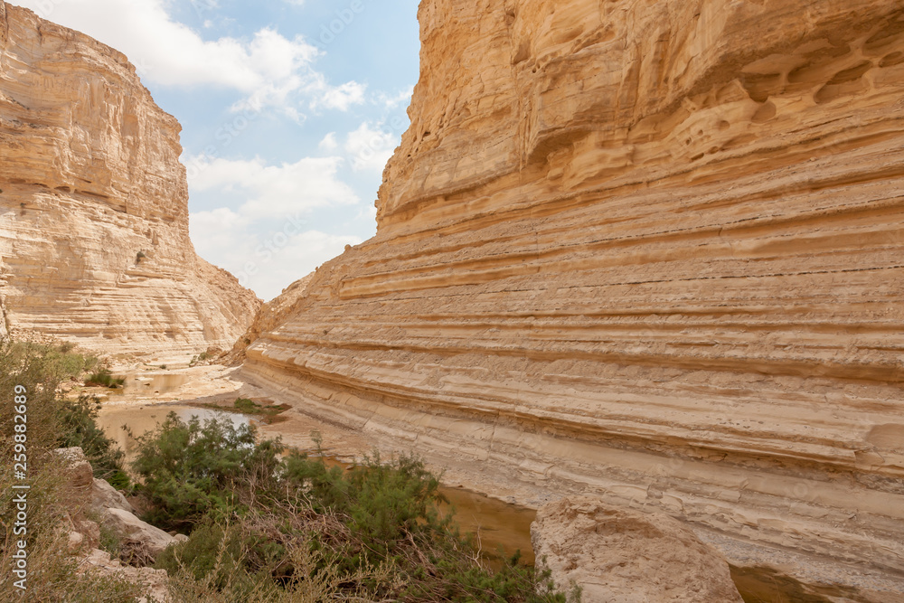 Canyon of Ein Avdat National Park, the Negev Desert, Southern Israel Canyon of Ein Avdat National Park, the Negev Desert, Southern Israel