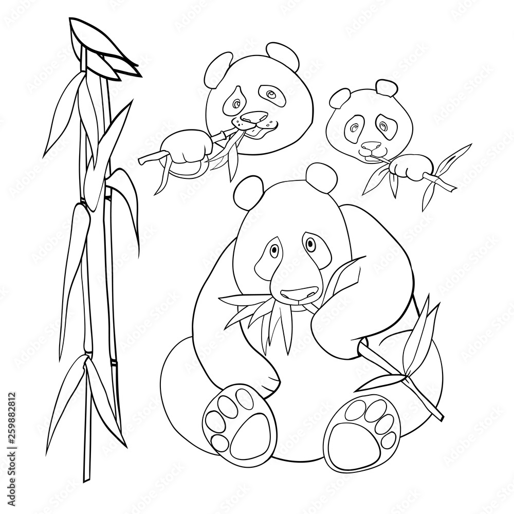 Obraz premium Vector linear illustration, black and white illustration, panda bear.