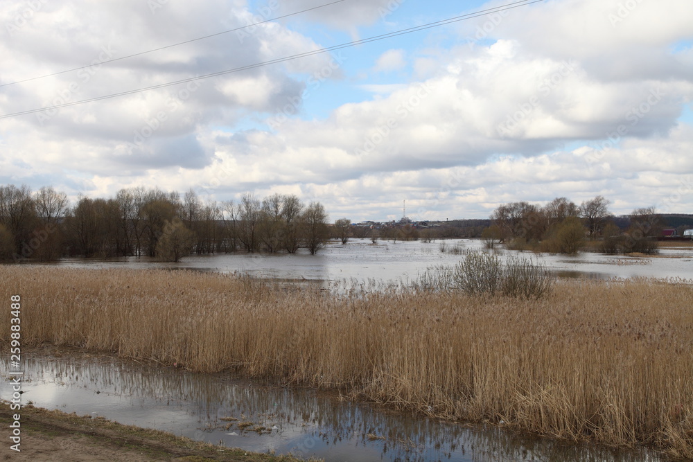 Water flooded the road.