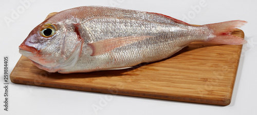 Fresh red sea bream fish on wooden cutting board photo