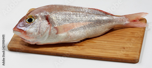 Fresh red sea bream fish on wooden cutting board