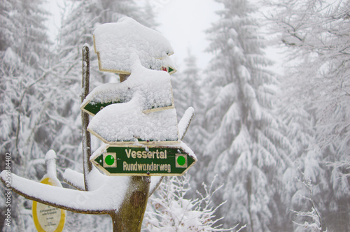 Thüringer Winterwald im Vessertal photo