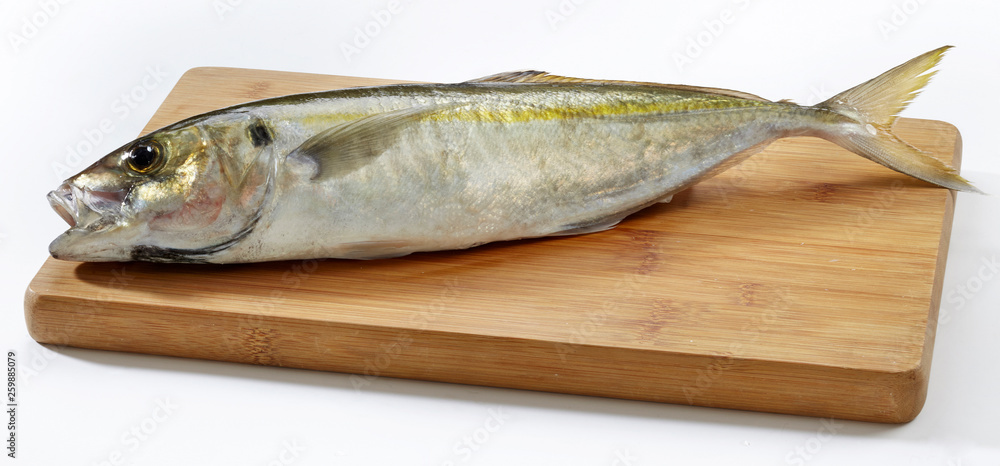 Fresh horse mackerel fish on wooden cutting board Fresh horse mackerel fish on wooden cutting board