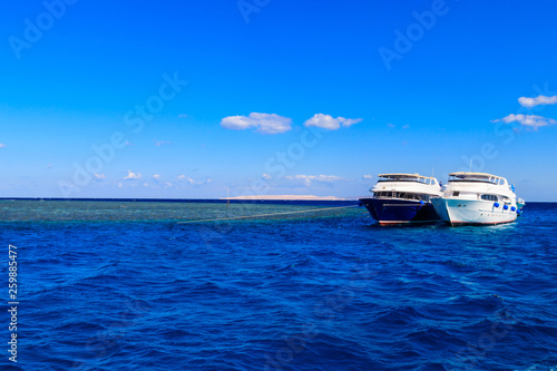 White yachts anchored near coral reef in Red sea, Egypt © olyasolodenko