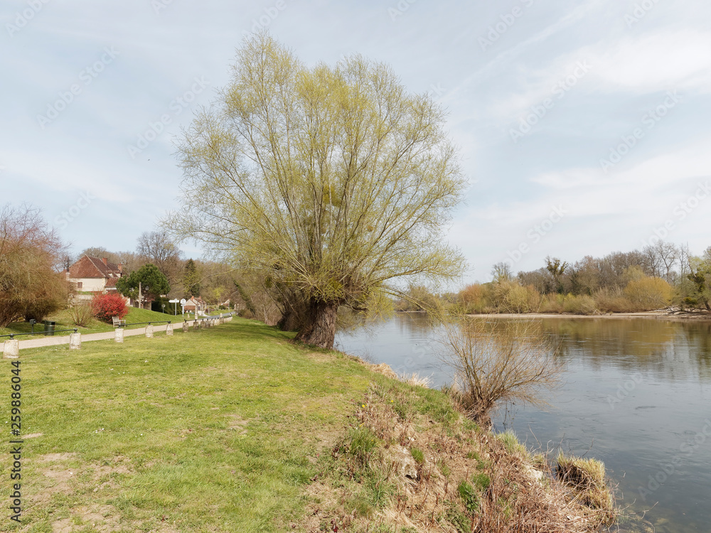 Le cours de l'Allier à Apremont-sur-Allier dans le Cher. Nature sauvage Le cours de l'Allier à Apremont-sur-Allier dans le Cher. Nature sauvage