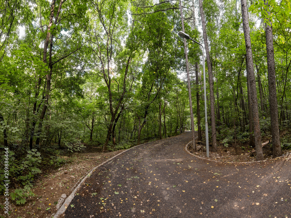 Road in Park Road in Park