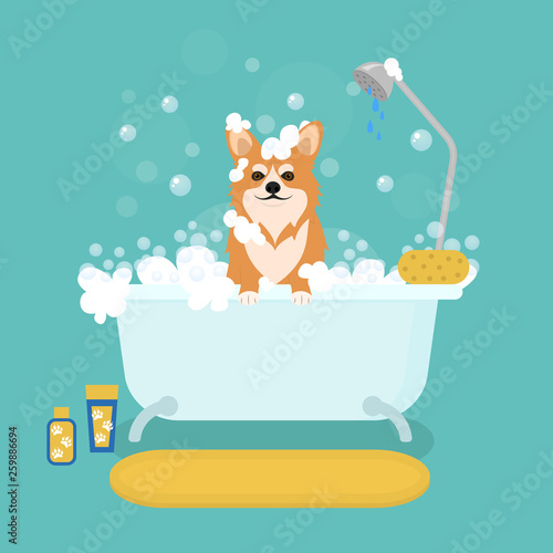 Cartoon Dog in Bath Grooming Services. Vector