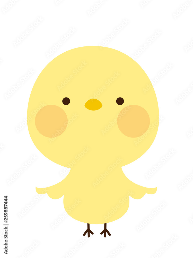 ひよこ ひよこ