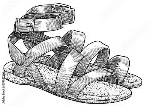 Sandal illustration, drawing, engraving, ink, line art, vector