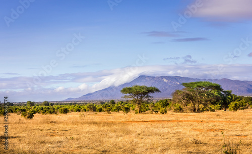Fotografie Savannah plains landscape in Kenya