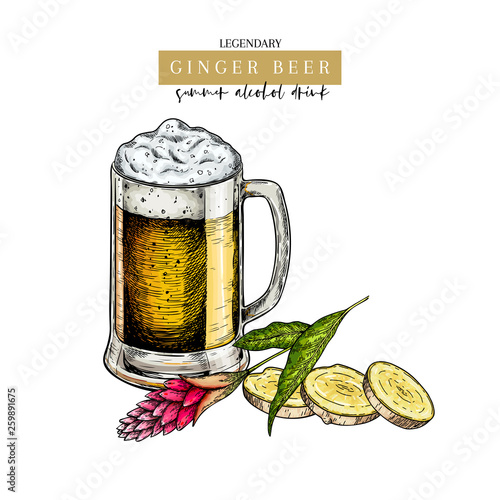 Hand drawn Oktoberfest pub poster. Ginger ale beer. Vector colored glass, slised ginger root, flower and leaves. Bar alcohol beverages. Craft brewery Discount banner festival menu flyer poster.