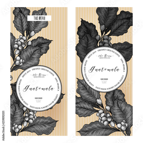 Coffee set. Hand drawn coffee branch. Vector colored engraved icon. Packaging design in retro style. Label template, brand identity, coffee sop, restaurant or cafe menu. Trendy barista branding.
