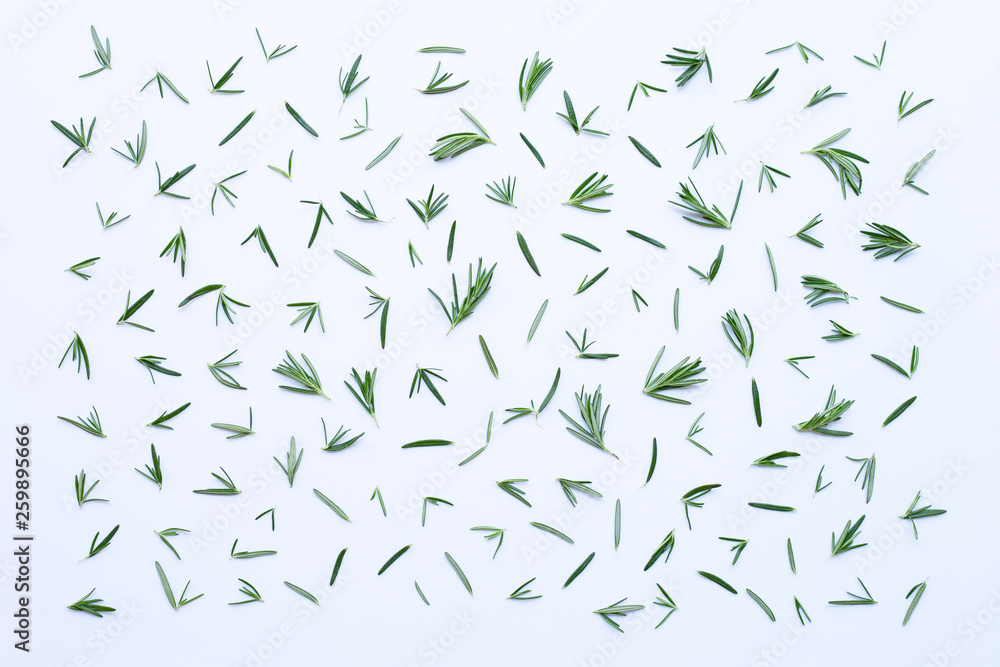Fresh rosemary isolated on white. Fresh rosemary isolated on white.