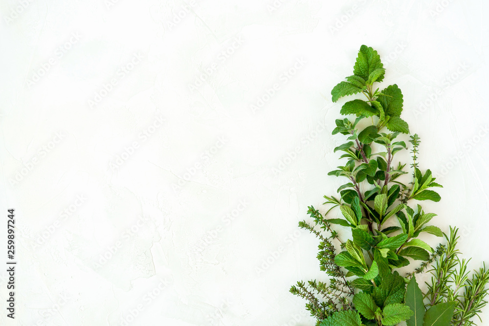 Fresh green garden herbs composition on white background. Top view with space for text Fresh green garden herbs composition on white background. Top view with space for text