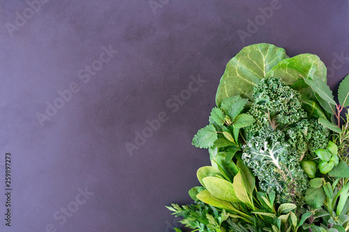 fresh green garden herbs and leaves on gray background