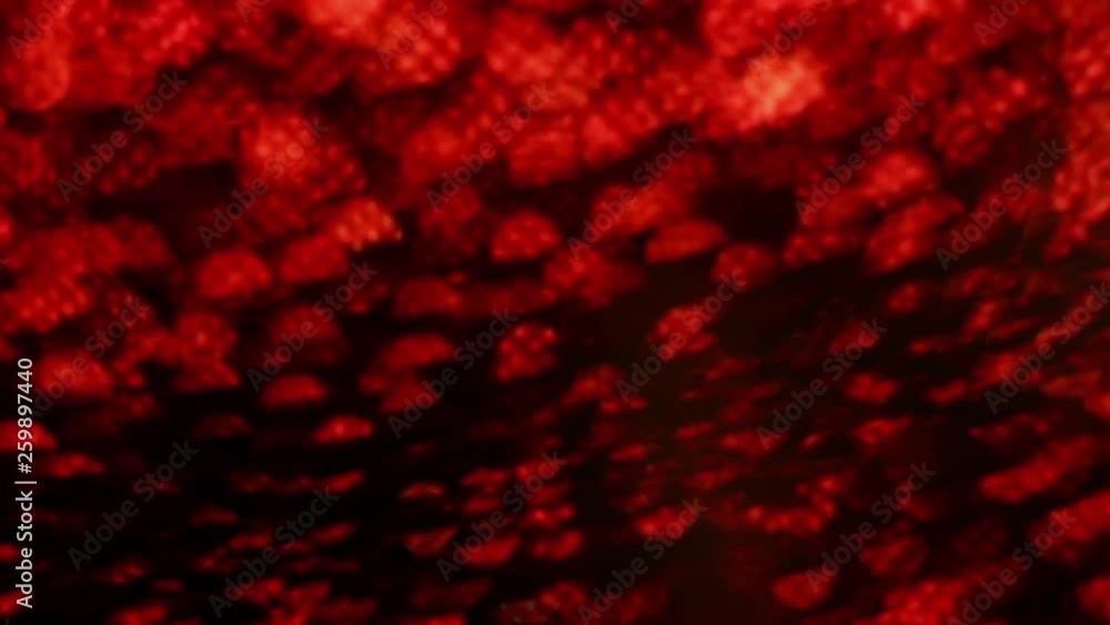 Abstract red burning up background Full HD video in slow Blazing texture burn in the dark. Abstract red burning up background Full HD video in slow Blazing texture burn in the dark.
