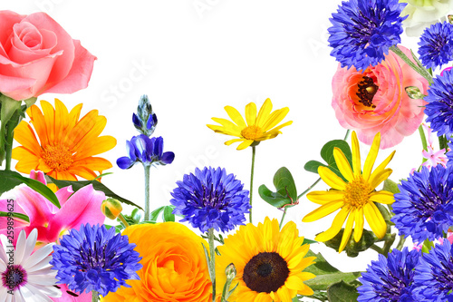 Colorful beautiful flowers and butterflies isolated. Spring nature.  Cpy space