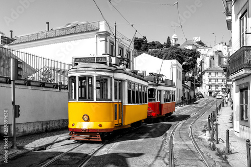 Yellow and red vintage trams on old streets of Lisbon, Alfama, Portugal, popular touristic attraction and destination. Black and white picture with a coloured tram. © hungry_herbivore
