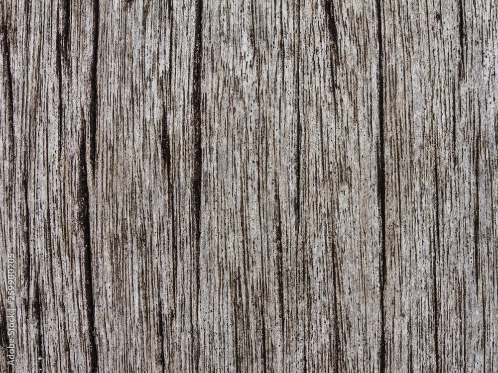 the background of weathered painted wood for design the background of weathered painted wood for design
