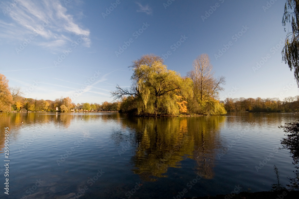 Autumn landscape of a lake